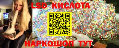 сатива Кандалакша