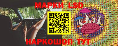 сатива Кандалакша