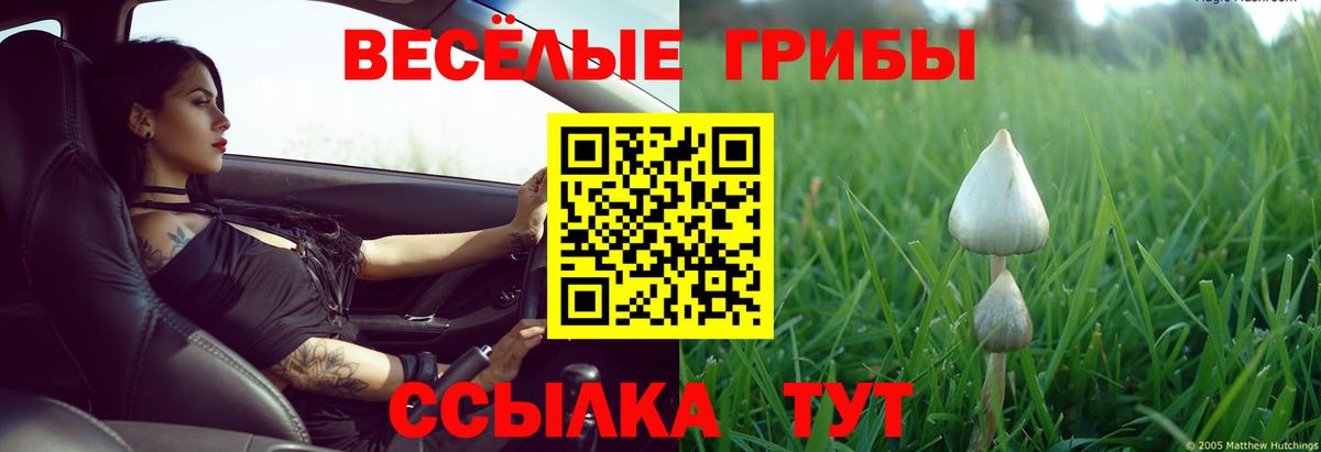 Галлюциногенные грибы ЛСД Юрга