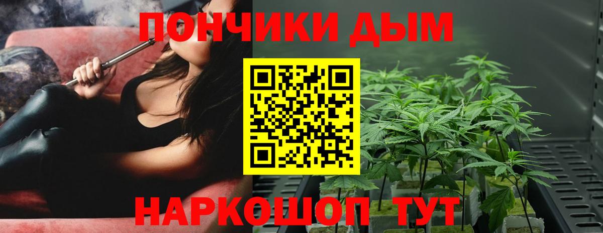 Марихуана ГИДРОПОН  Канабис VHQ  Юрга  МАРИХУАНА сатива  Вход с VPN 